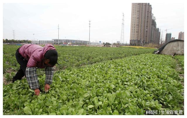 十年之后，农村的宅基地究竟能够值多少钱，一万一平方米靠谱吗？