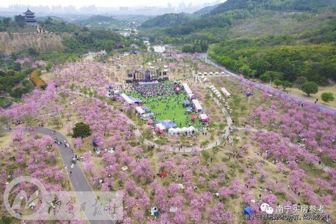 2.8万亩！恒大文旅大盘复工？南宁或再掀“文旅热”