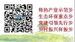 习近平《论“三农”工作》（8） 把乡村振兴战略作为新时代“三农”工作总抓手