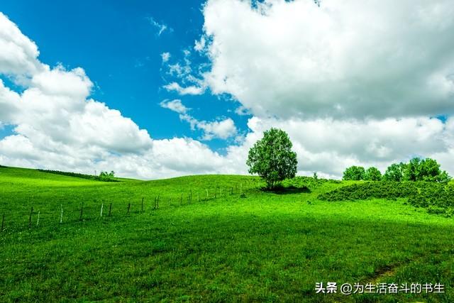 洛阳的凉山旅游区也是一个不错的避暑旅游胜地